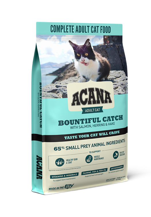 Bountiful Catch